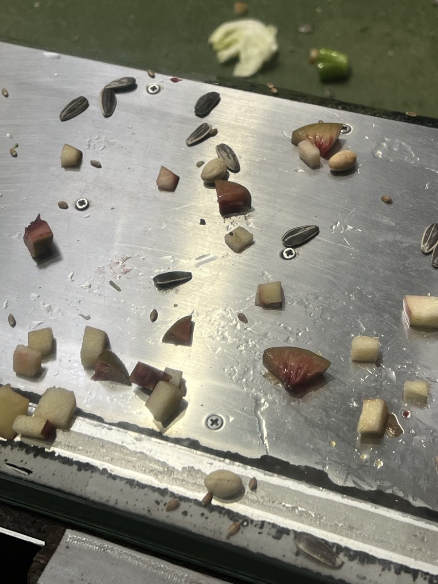 パンジー tweet media