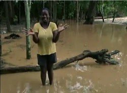 Worax Bracco Hofbeck Keeley Mushaluk 🍀 tweet media