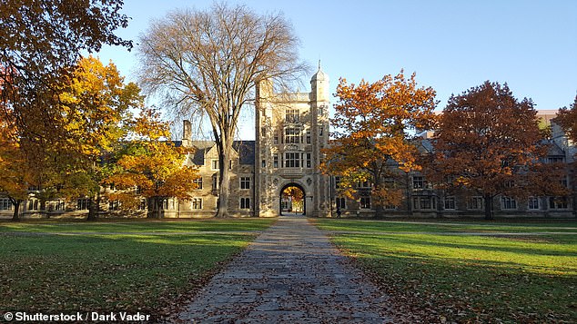 记者易速利2026 tweet media