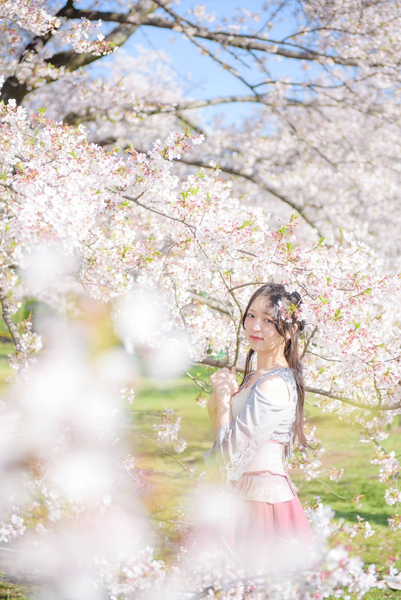 永田彩羽🎻🦋 tweet media