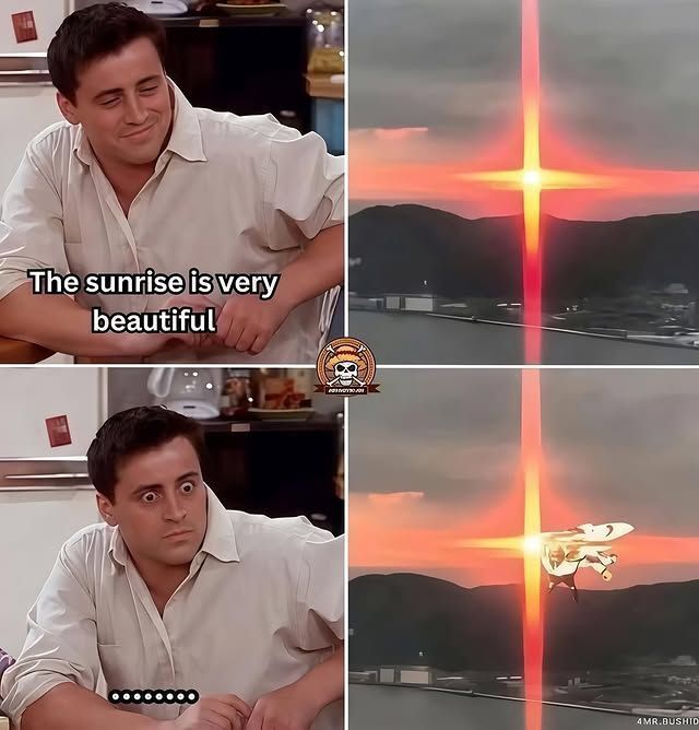 One Piece Daily tweet media