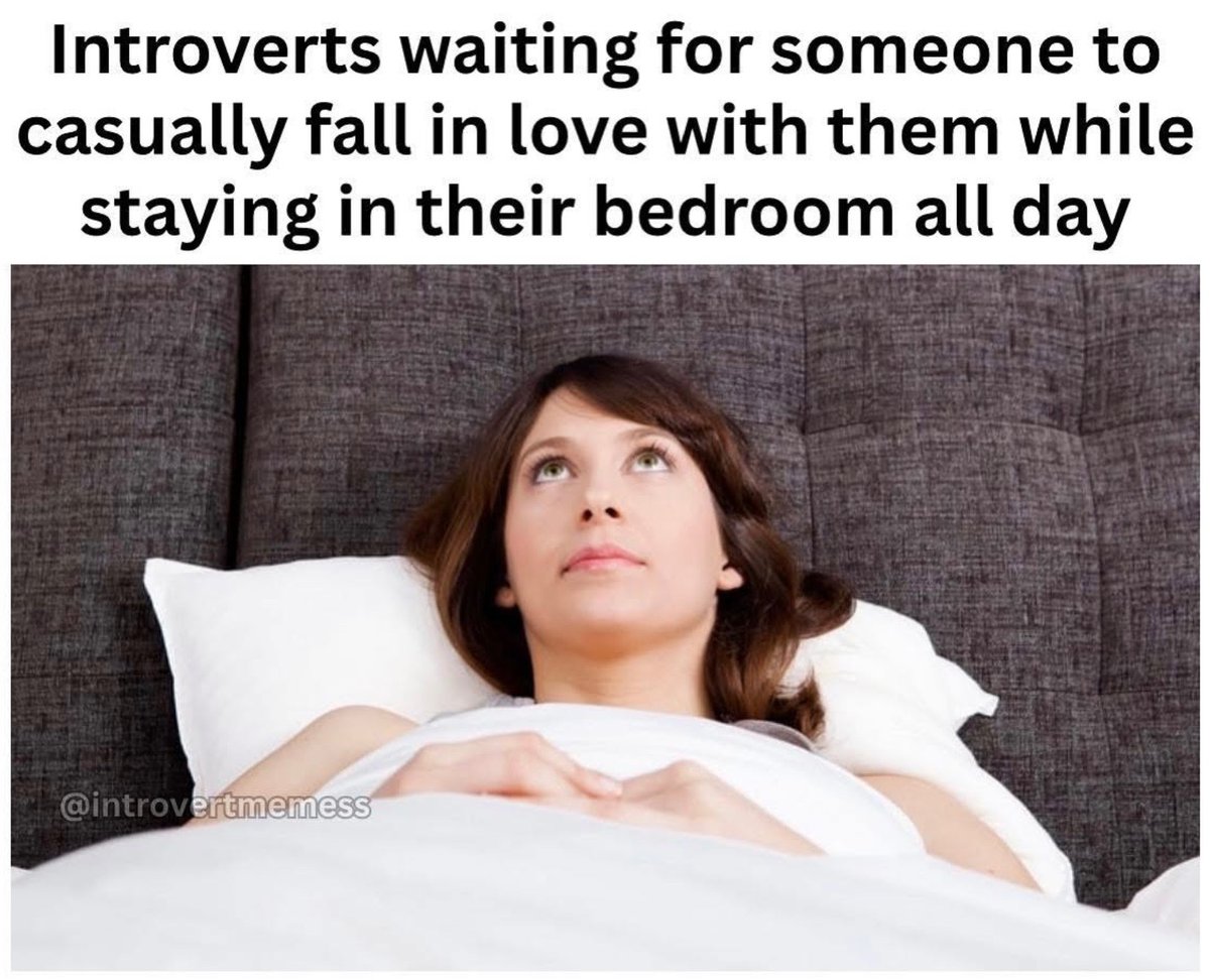 All About Introverts tweet media