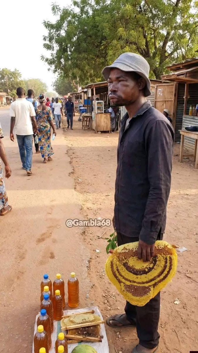 Pa Latyr Diouf tweet media