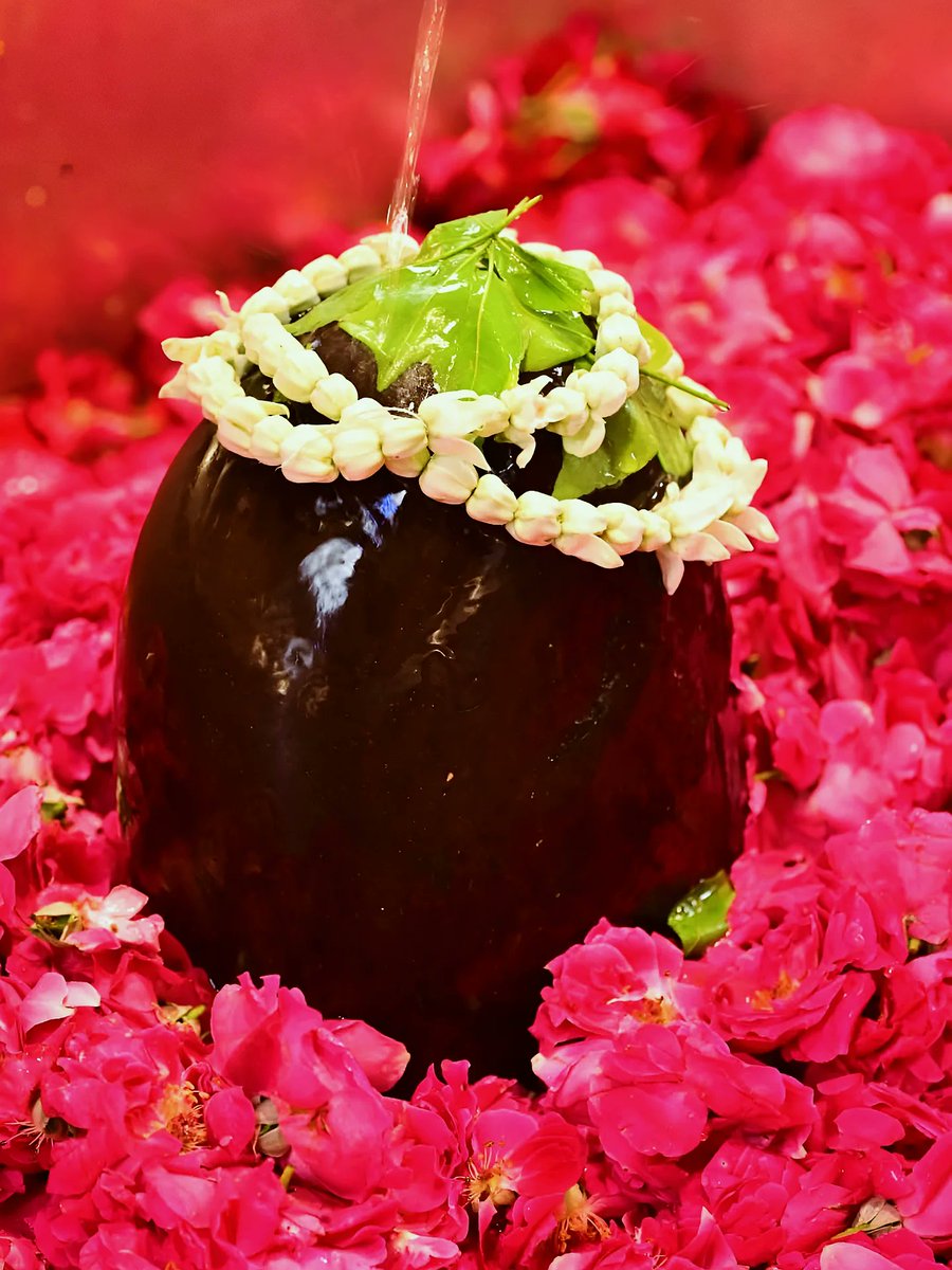 Akanksha Parmar tweet media