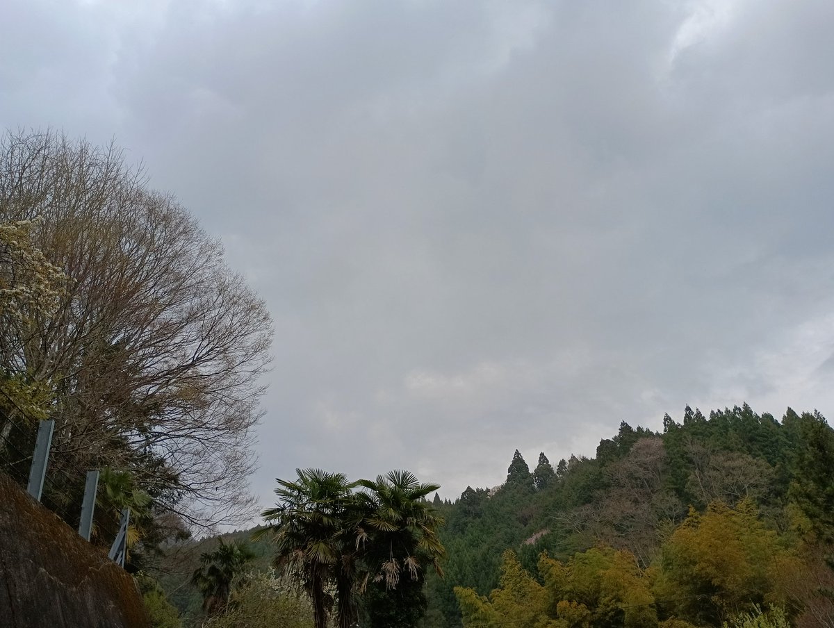 三重虎命T・開幕3カード勝ち越しスタートです👏🐯 tweet media