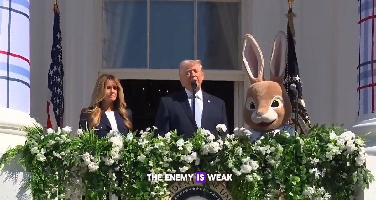 Seth Abramson tweet media