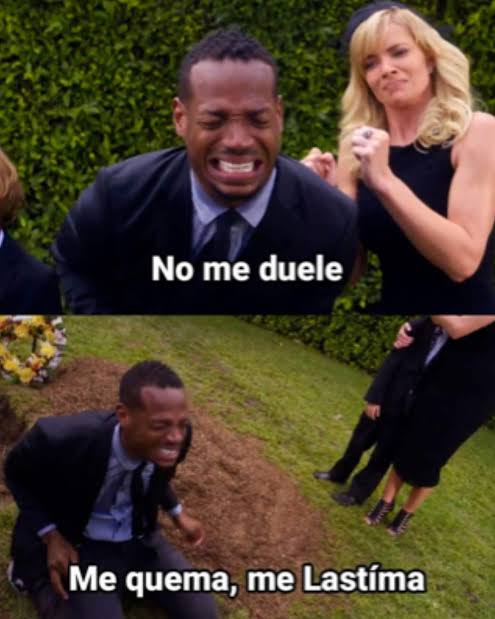 Felidaex tweet media