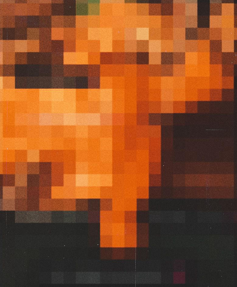 biah do xerecão tweet media