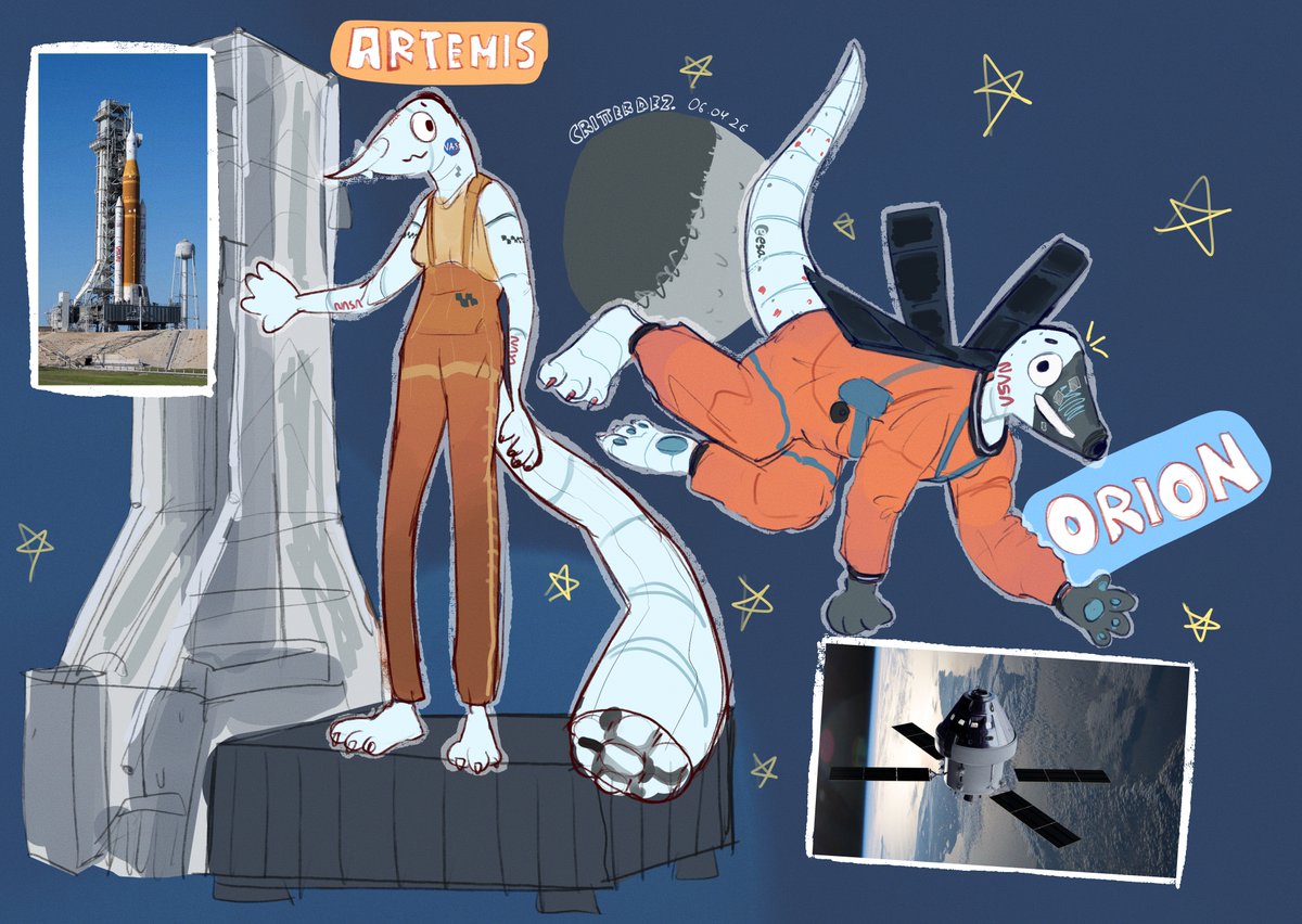 CRITTER 🐦🏖️🍟 tweet media