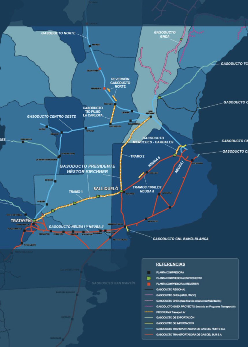 Rosalía Costantino tweet media