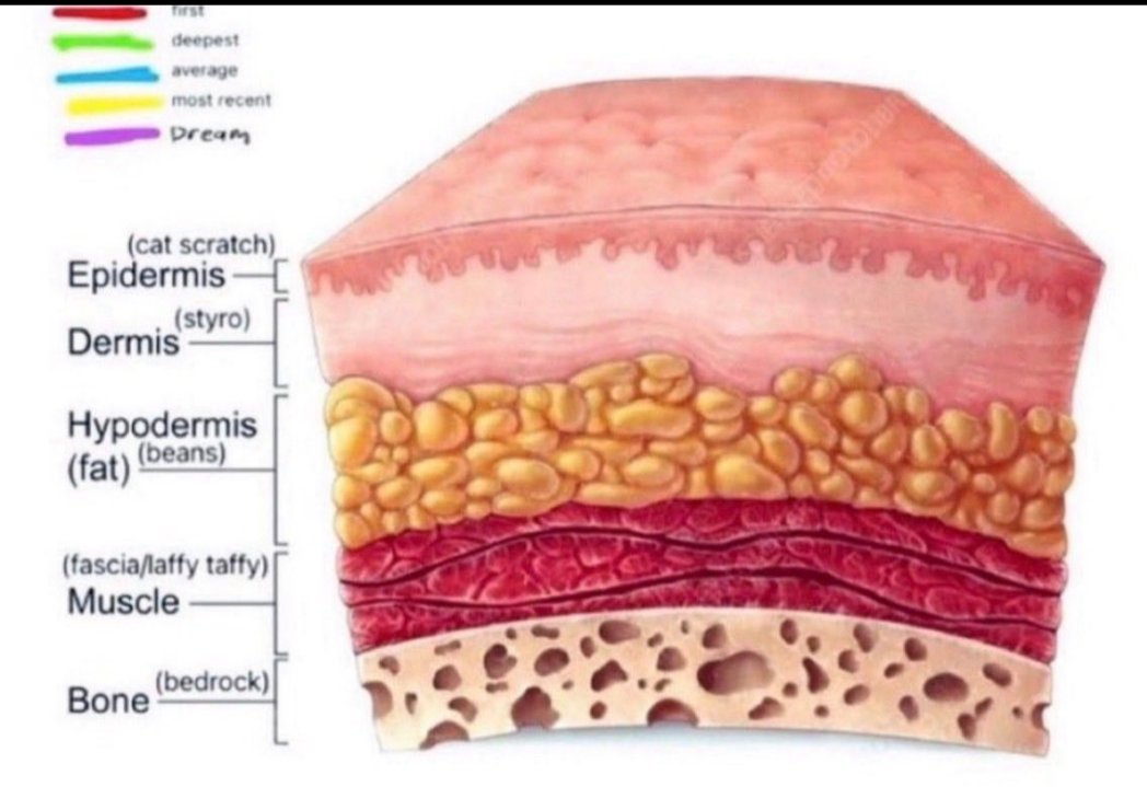 avery of shtwt﹒ ⧼🌱⧽ tweet media