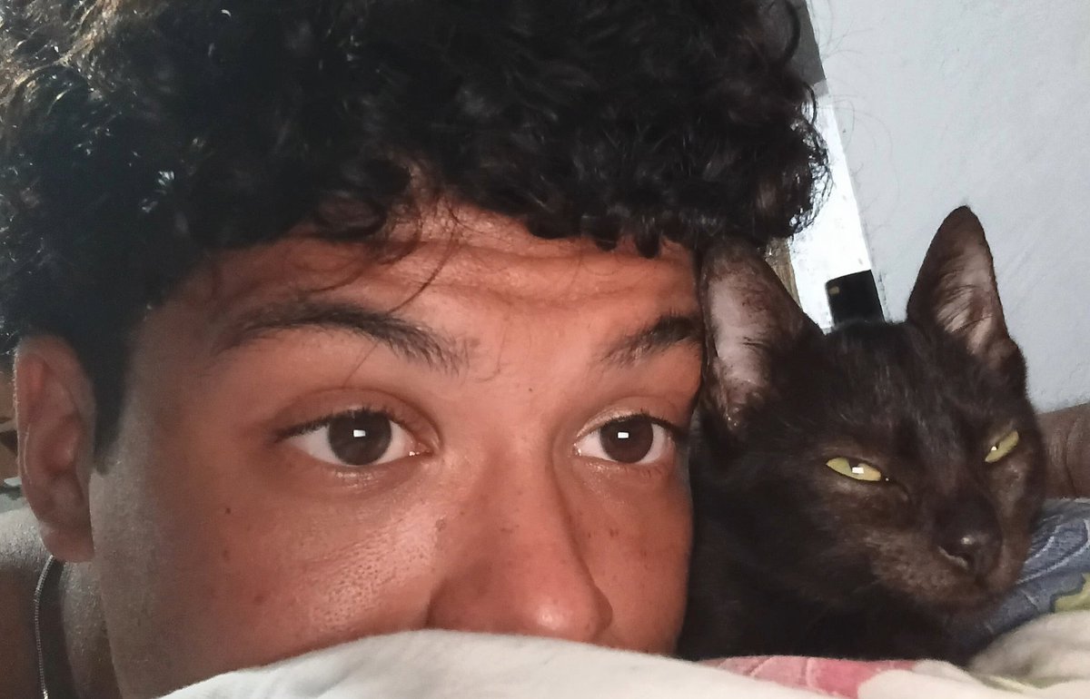 Flavio Rezende tweet media