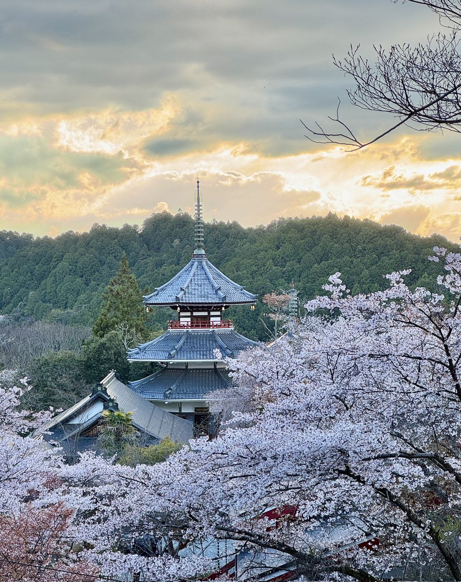 nncat🇺🇦 tweet media