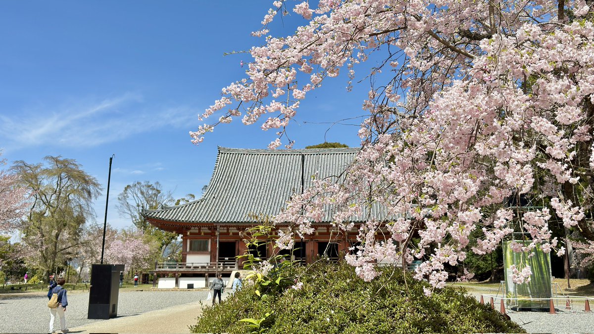 nncat🇺🇦 tweet media