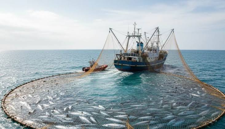 سند حسين عبدالله بافخسوس tweet media