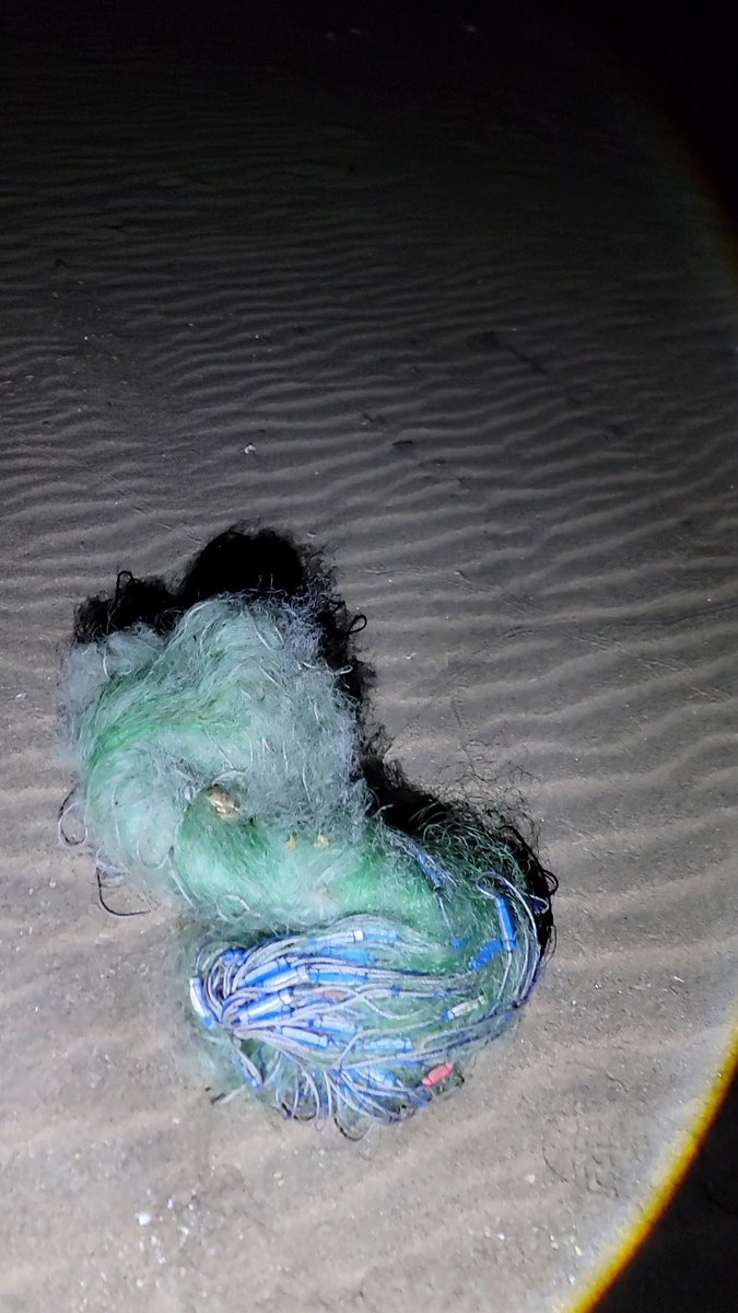 سند حسين عبدالله بافخسوس tweet media