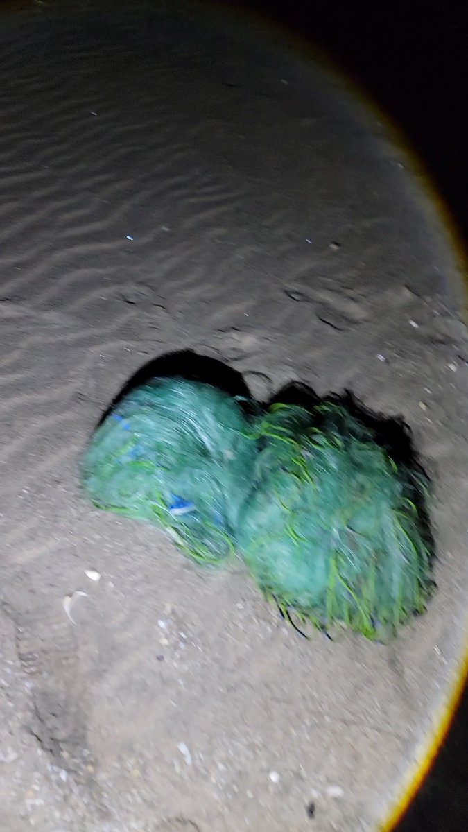 سند حسين عبدالله بافخسوس tweet media