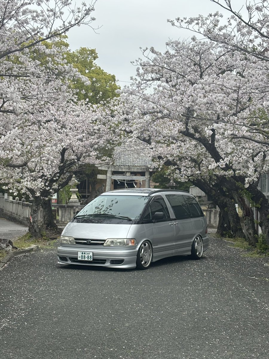 S515227's tweet photo. 原チャいじらなかった結果
何から手をつければいいか分からない状況に陥る💦
やりたいことは沢山あるけど...
優先順位が決めれない https://t.co/demshRcjQm
