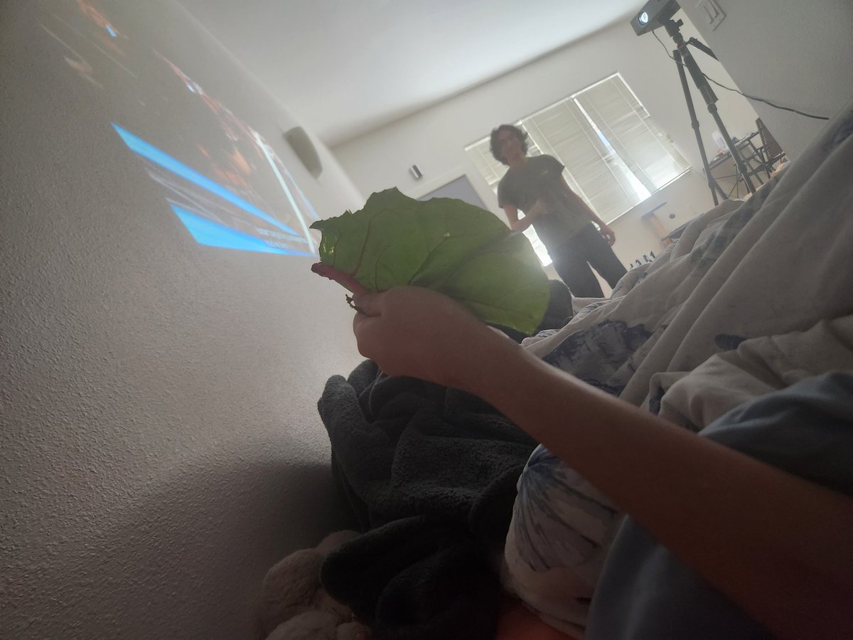 TOADETTES A LIGHTWEIGHTTT 😭croissant tweet media