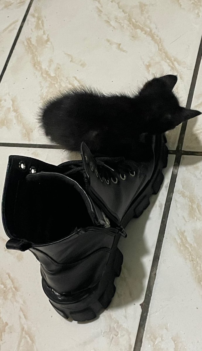 ︎ ︎ ︎ ︎ ︎ ︎ ︎ ︎ ︎ ︎sop tweet media