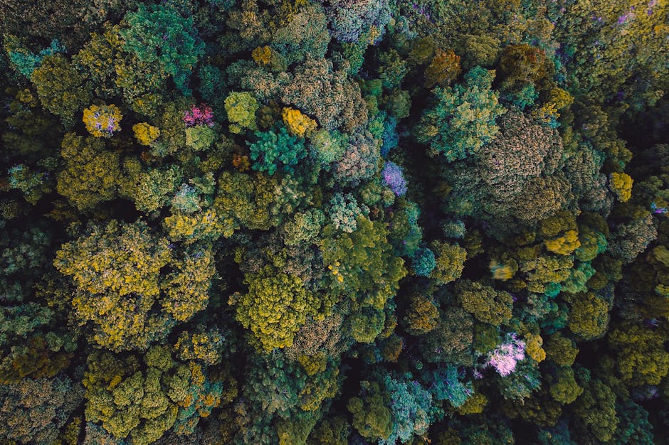 Kristin King tweet media