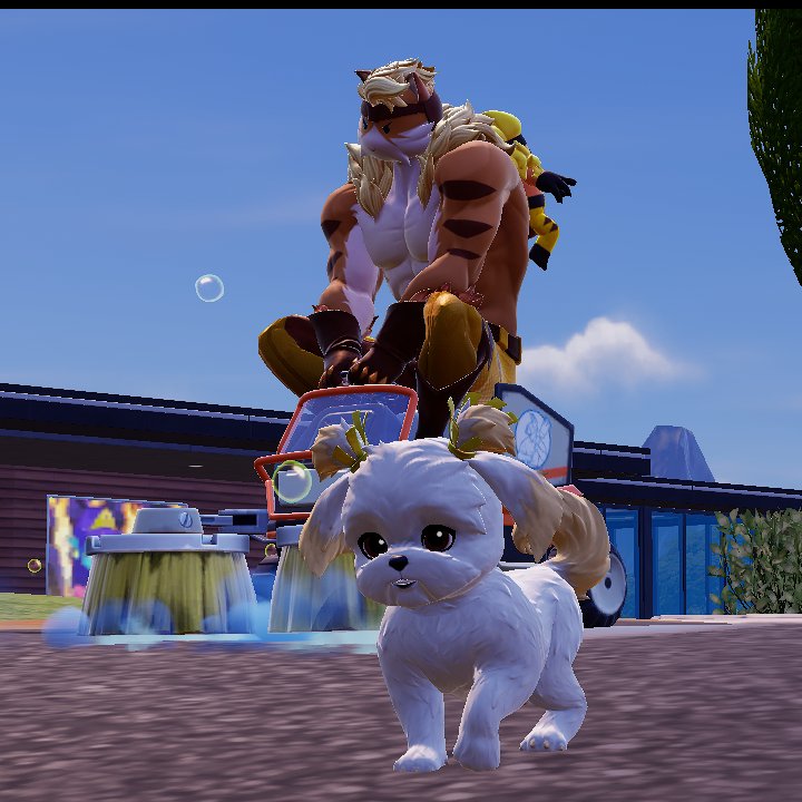 Vidi 💪😼 tweet media