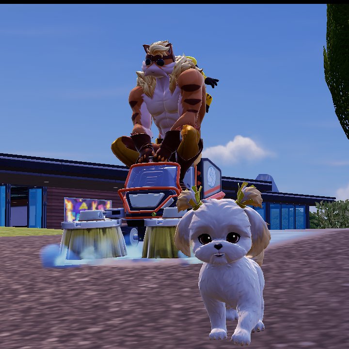 Vidi 💪😼 tweet media