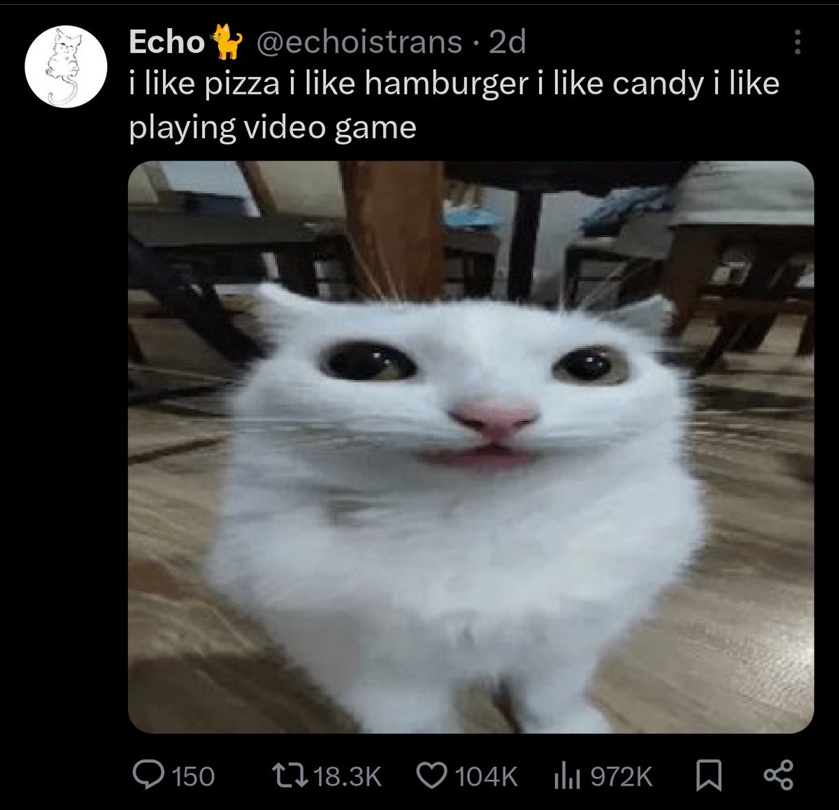 Echo🐈 tweet media
