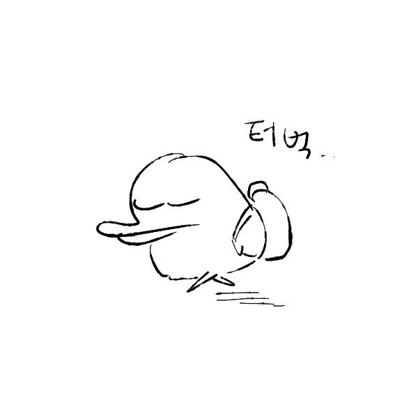 선배님 tweet media