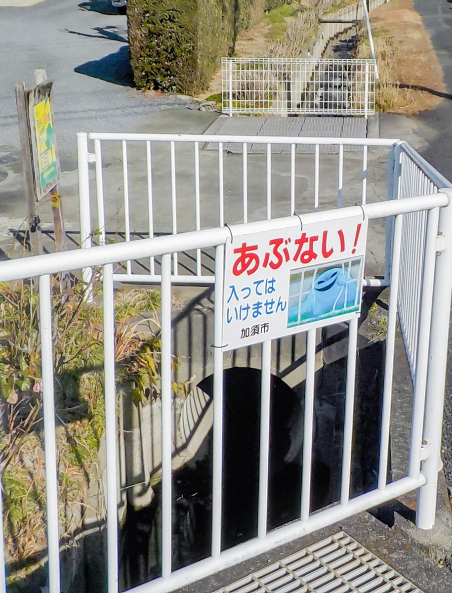 加須市 tweet media