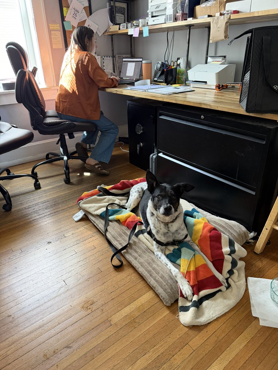 Steven A Bowman tweet media