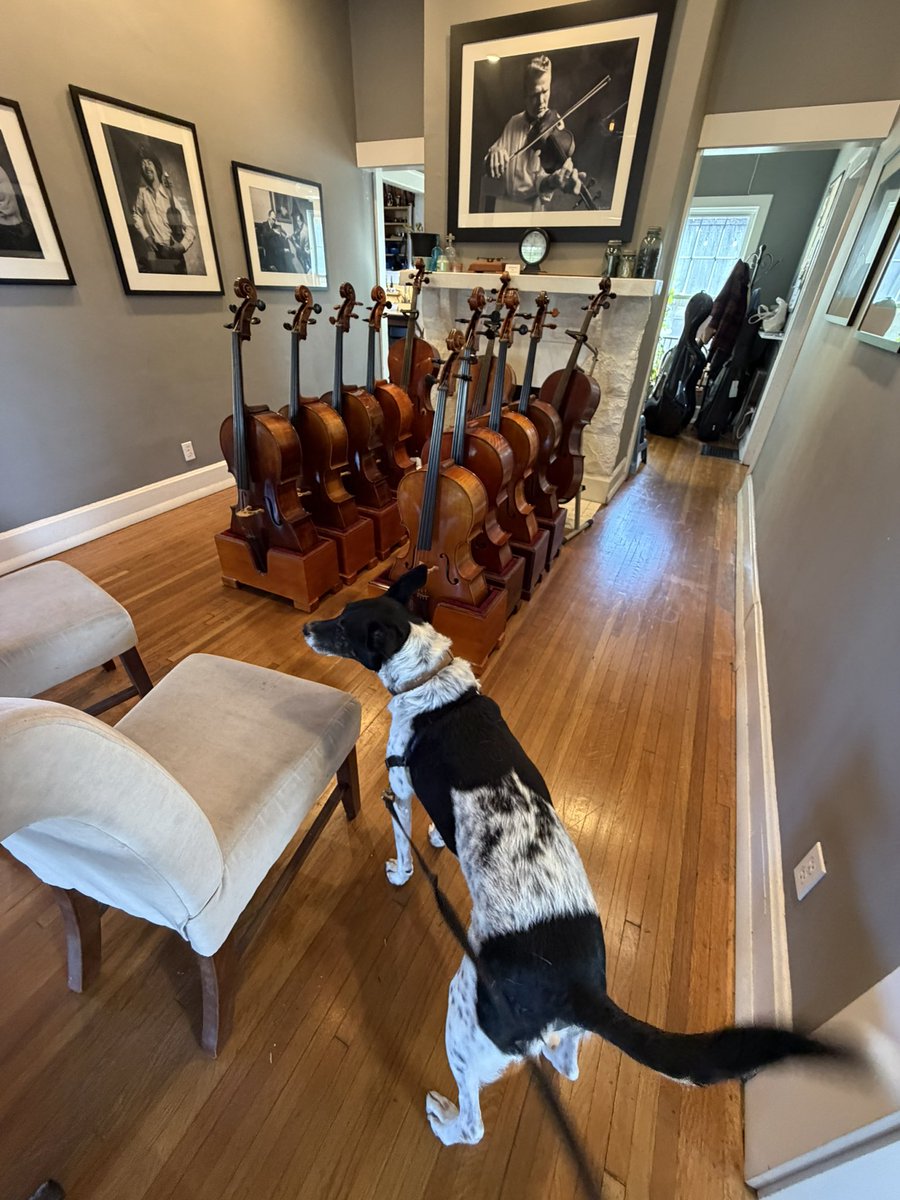 Steven A Bowman tweet media