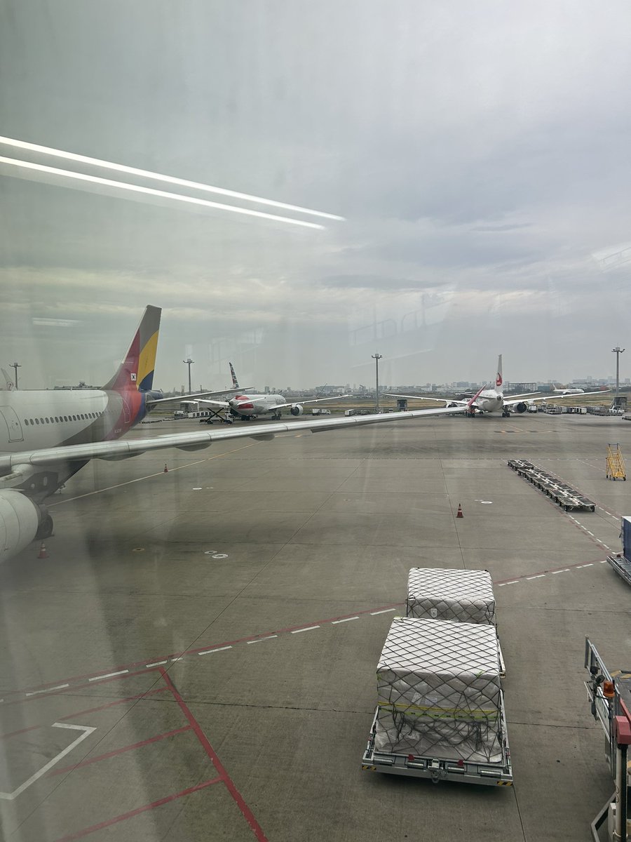 ⭐T♡O♡M♡O⭐ tweet media