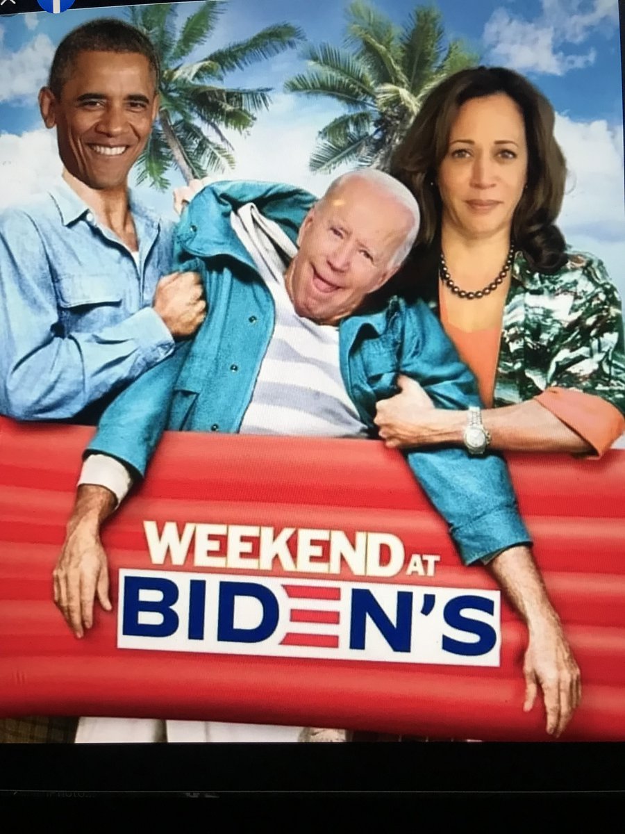 WhiporWill tweet media