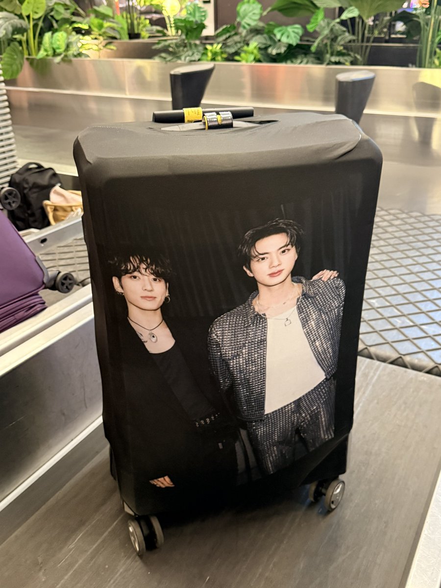 𝒀𝒂𝒂🐬 tweet media