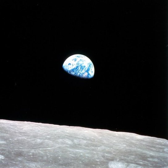 Astronomiaum tweet media