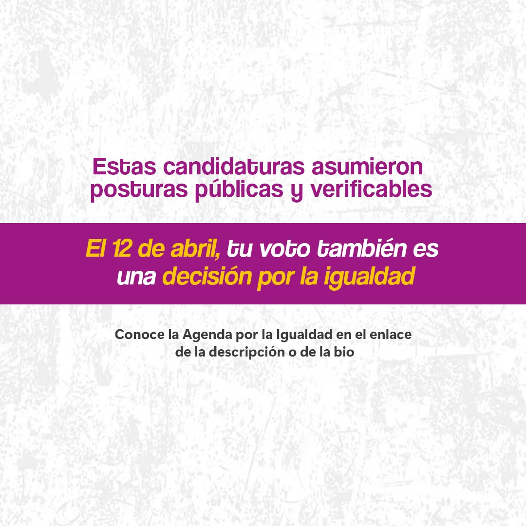 generaorgullo's tweet photo. @WaykaPeru @Cutivalupiura @entre_nosotres 👉 Conoce más de la Agenda por la Igualdad 2026 en: https://t.co/ytkXStGdXF

#AgendaPorLaIgualdad #Elecciones2026 🗳️ (3/3) https://t.co/USJob0ToeC