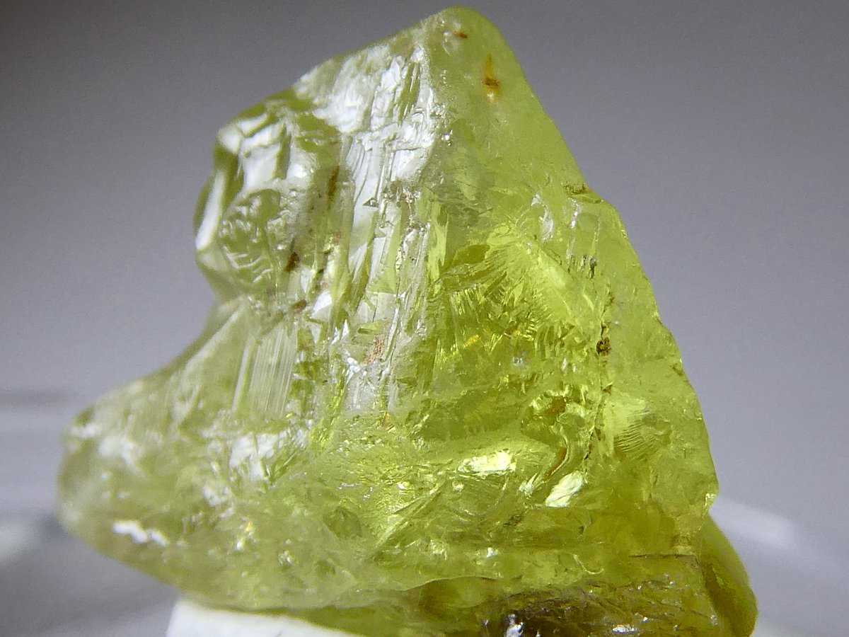 天秤亭てみす🐚 tweet media