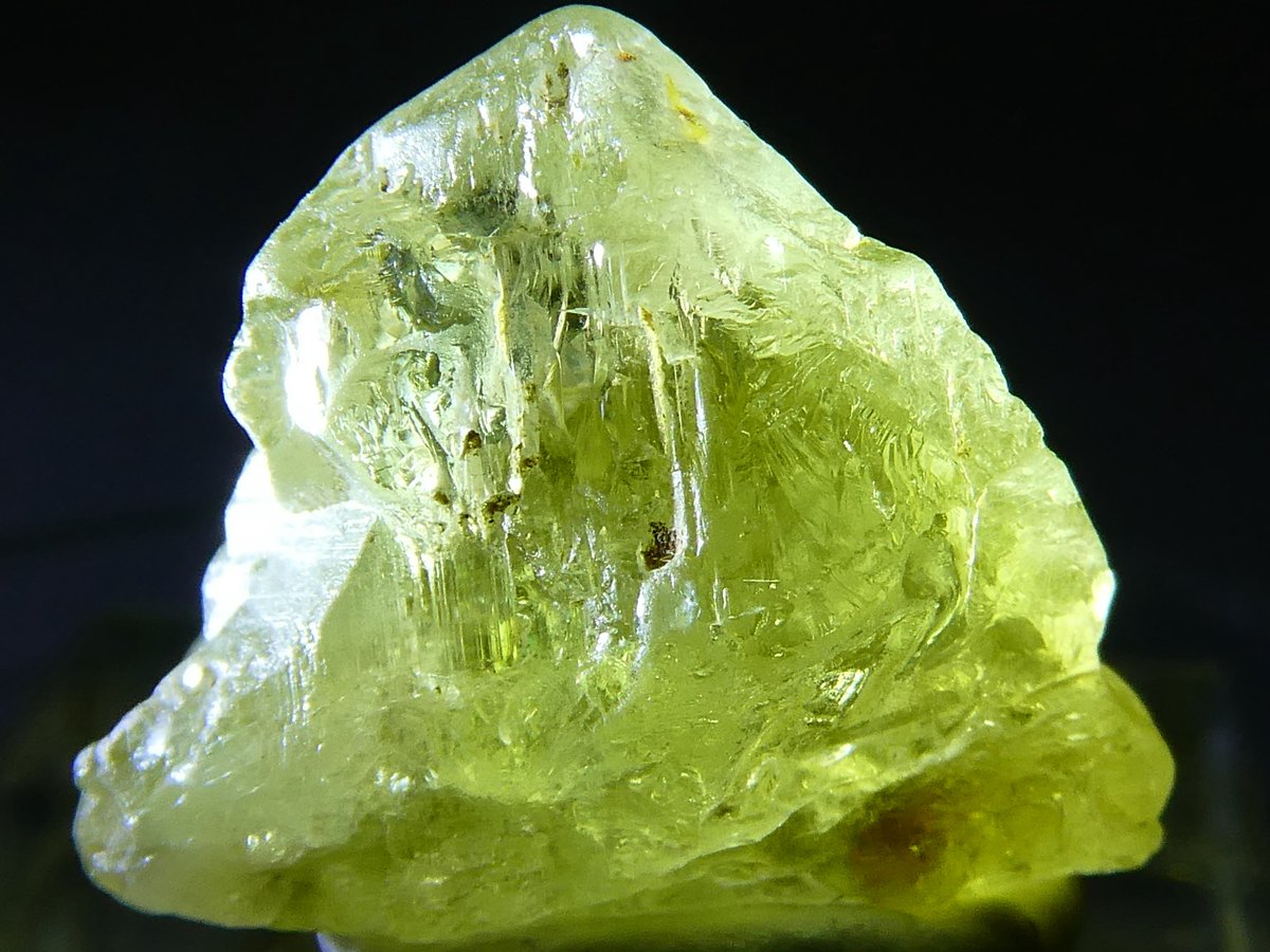 天秤亭てみす🐚 tweet media