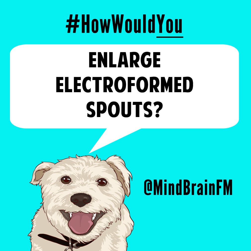 HowWouldYou...💡⚡ tweet media