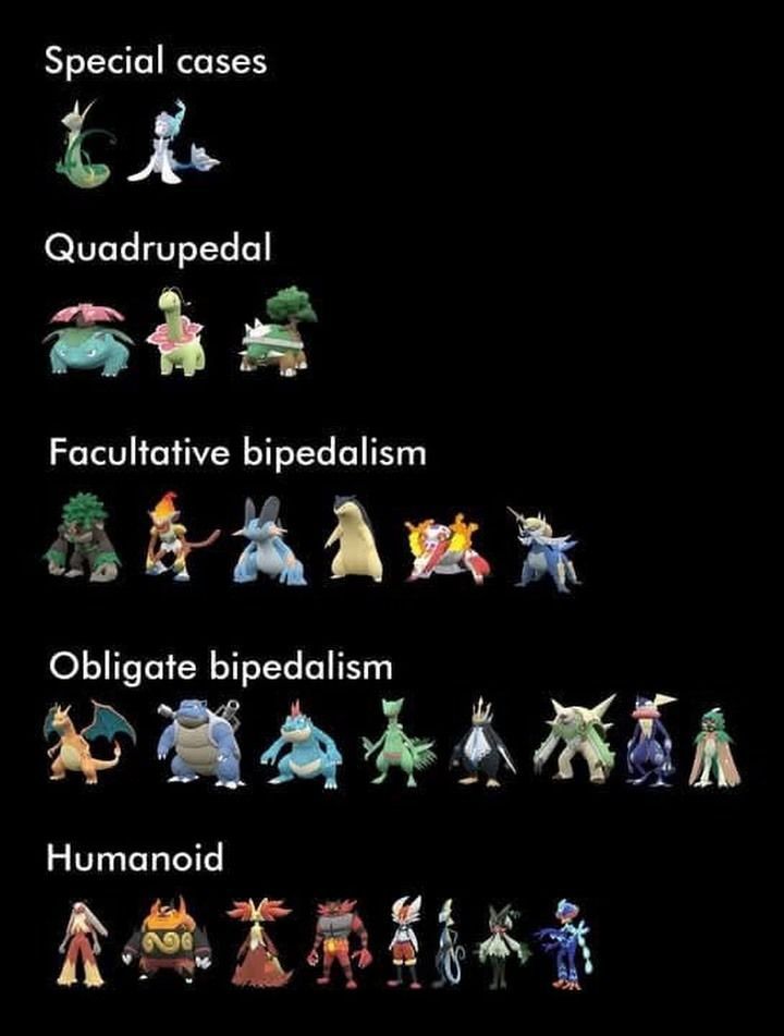 Pokémon Daily tweet media