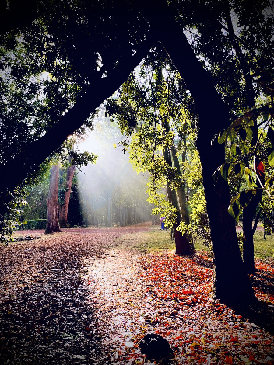 Sr. Gonzalez tweet media