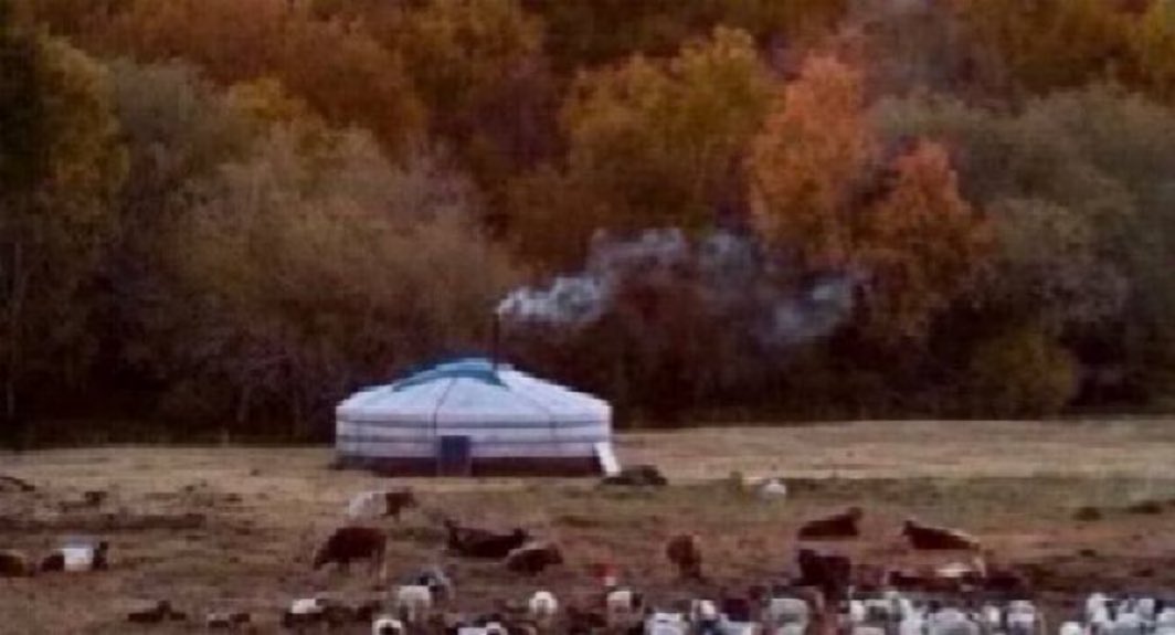 Н.Ганбямба tweet media