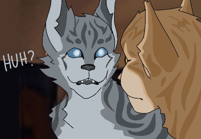 12Cashmere tweet media