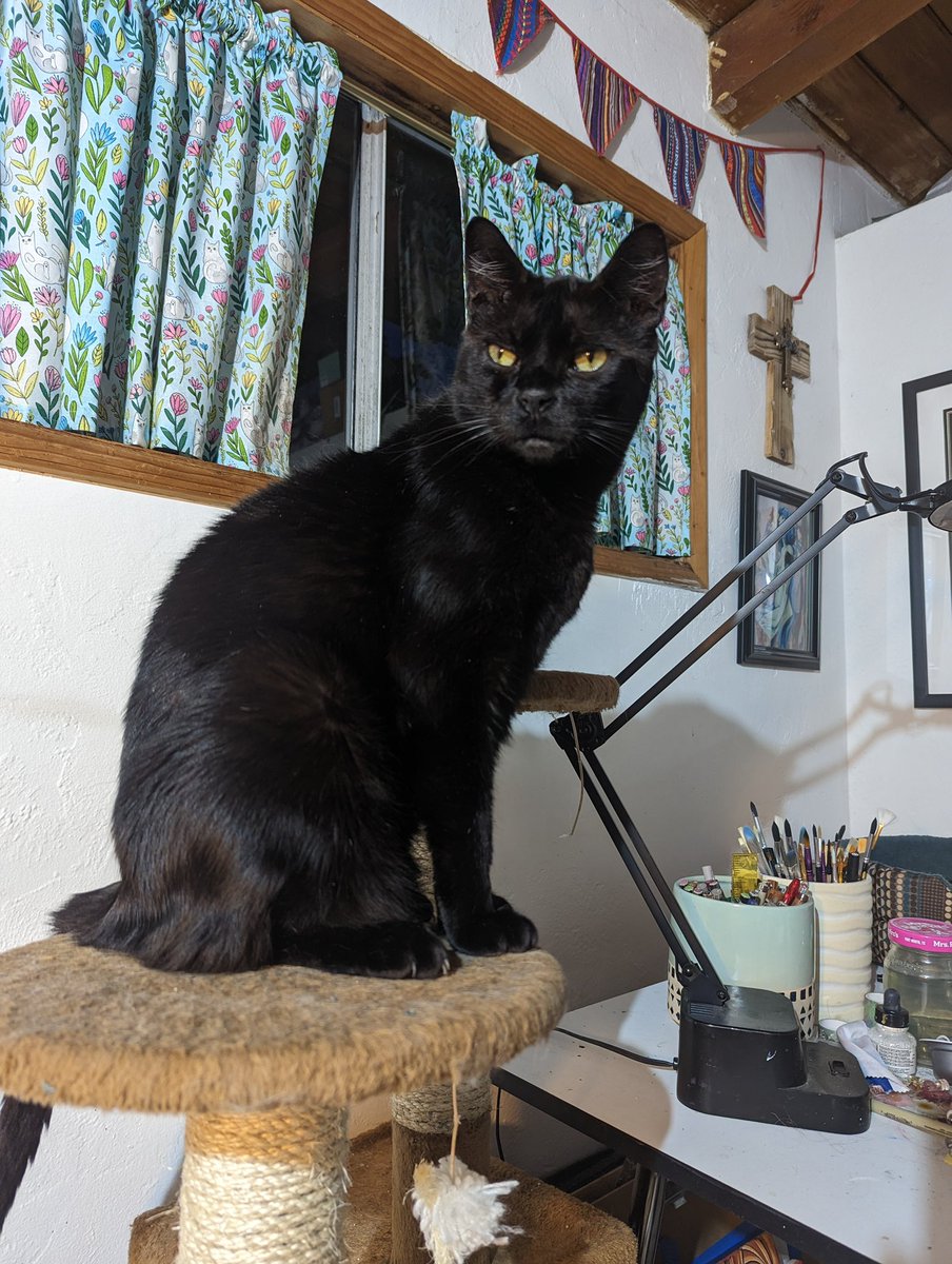 Kristen W. tweet media