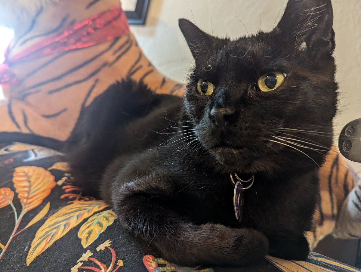 Kristen W. tweet media