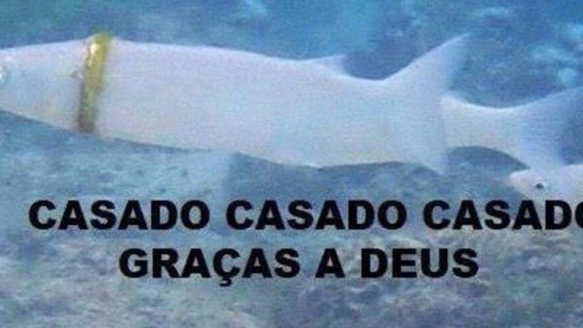 lesbica performatica fã de açaí com confete tweet media