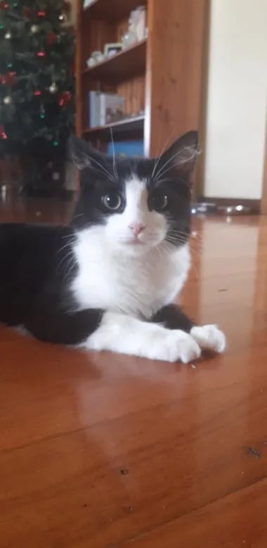 WatersEdge tweet media