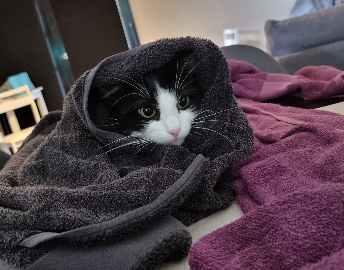 WatersEdge tweet media