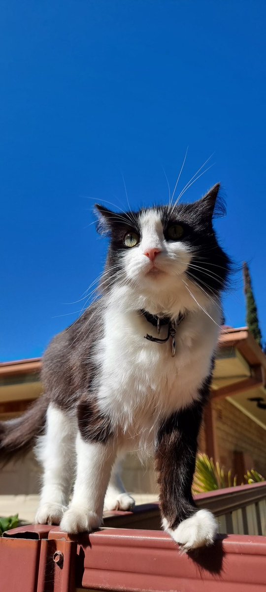 WatersEdge tweet media